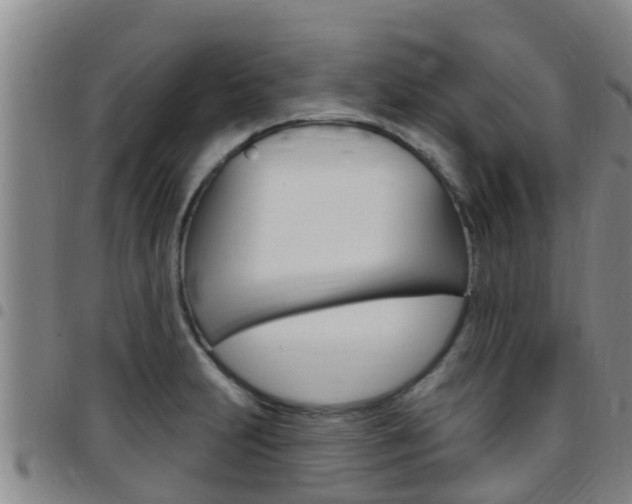 X0000097871231200803140911