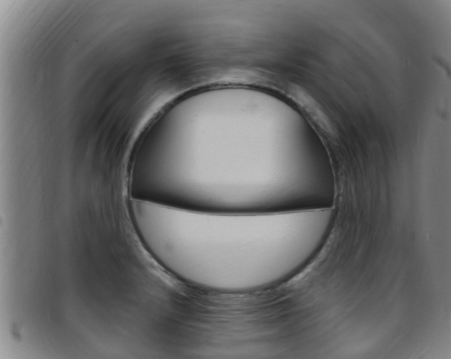 X0000097871232200803140911