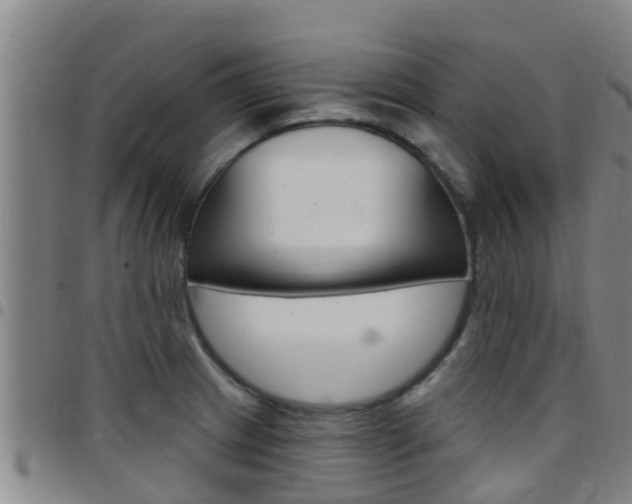 X0000097871233200803140911