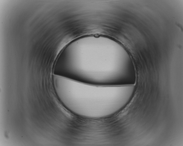 X0000097871234200803140911