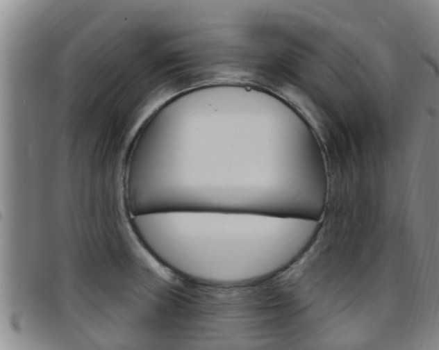 X0000097871235200803140911