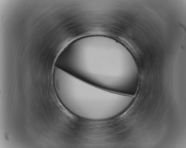 X0000097871236200803140911