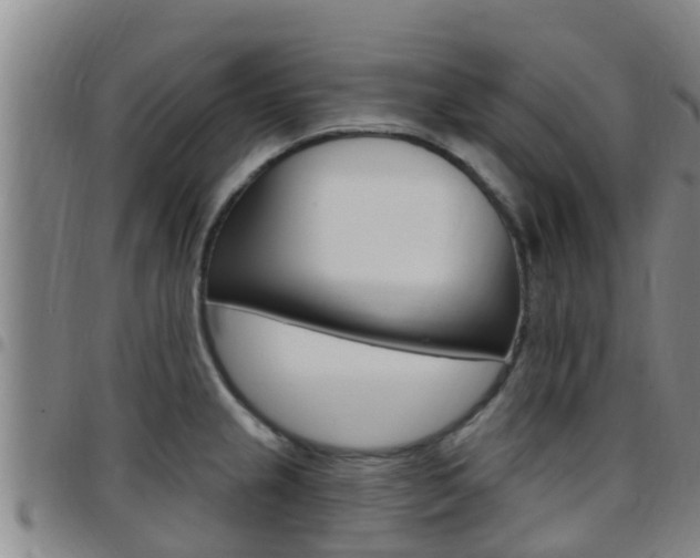 X0000097871237200803140911