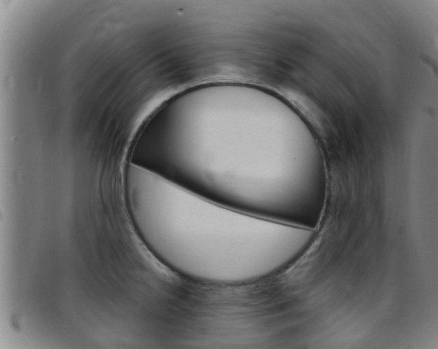 X0000097871238200803140911