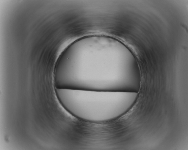 X0000097871239200803140911