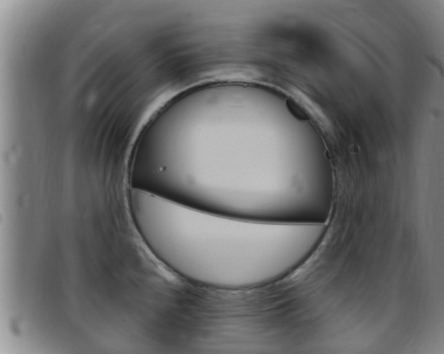 X0000097871240200803140911