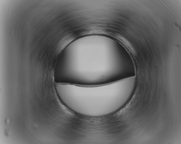 X0000097871241200803140911