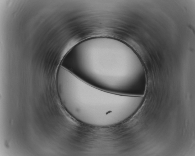 X0000097871242200803140911