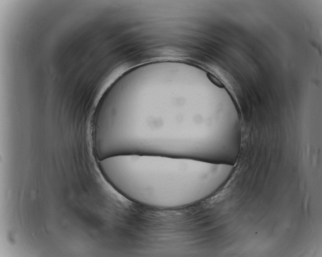 X0000097871243200803140911