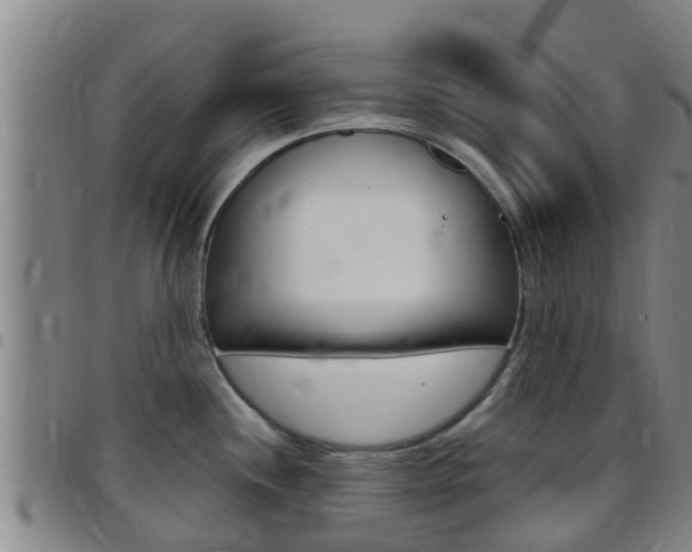 X0000097871244200803140911