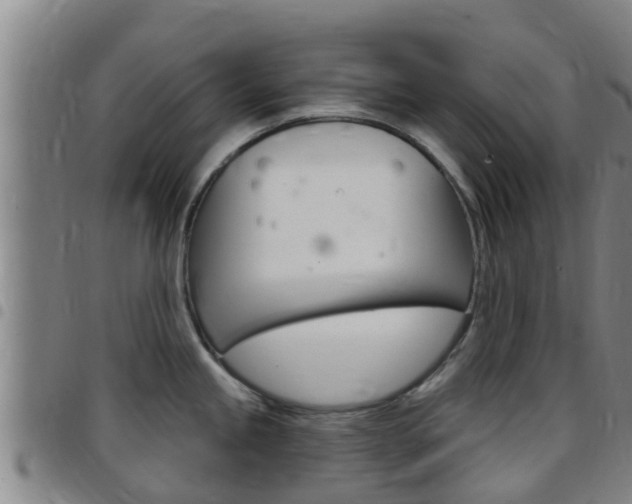 X0000097871245200803140911