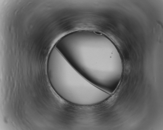 X0000097871246200803140911