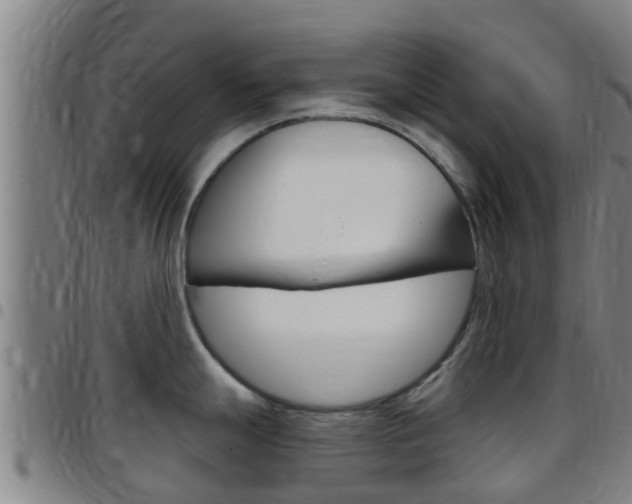X0000097871247200803140911