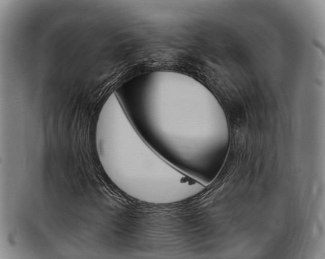 X0000097871250200803140910