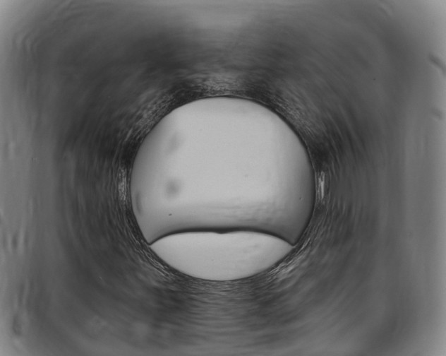 X0000097871251200803140910