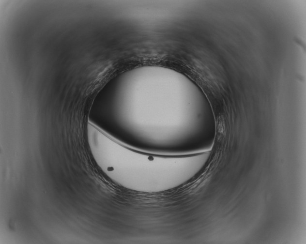 X0000097871252200803140910