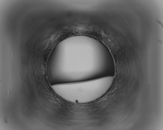 X0000097871253200803140910
