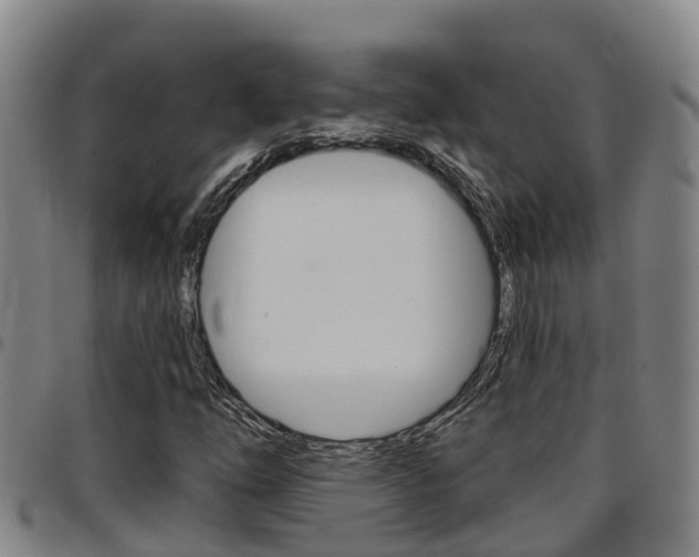 X0000097871254200803140910