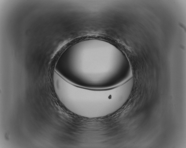 X0000097871256200803140910