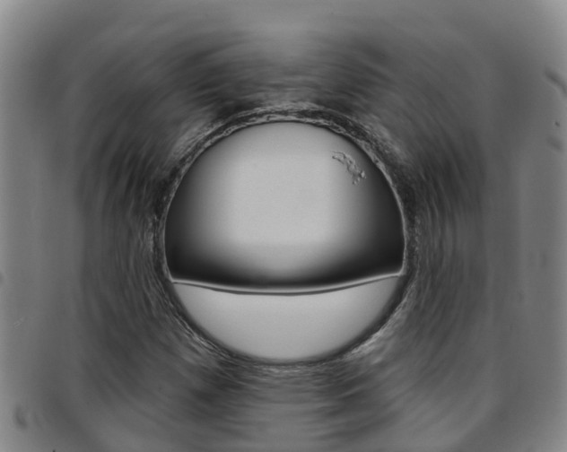 X0000097871257200803140910