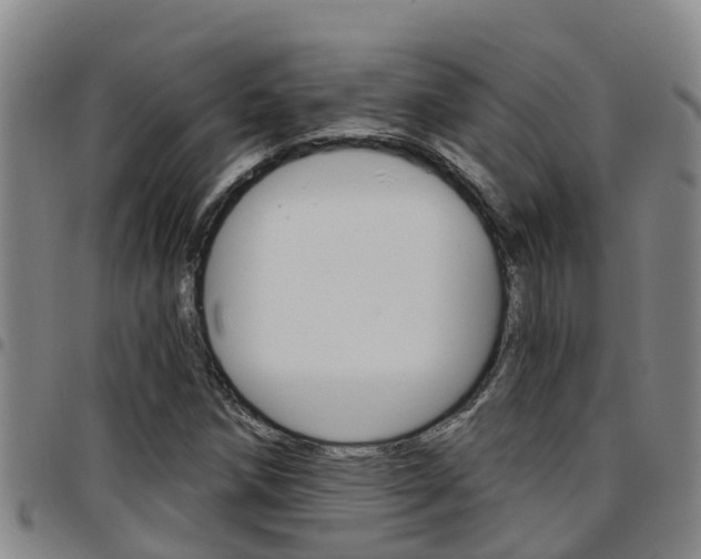 X0000097871258200803140910