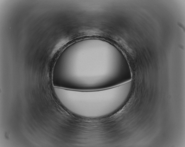 X0000097871261200803140910