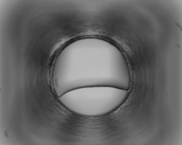 X0000097871262200803140910