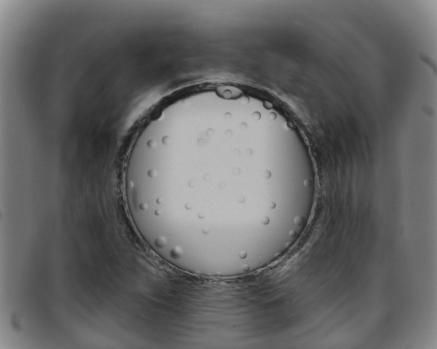 X0000097871263200803140910