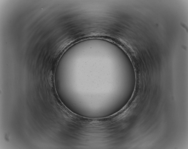 X0000097871265200803140910