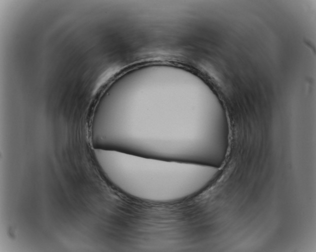 X0000097871267200803140910