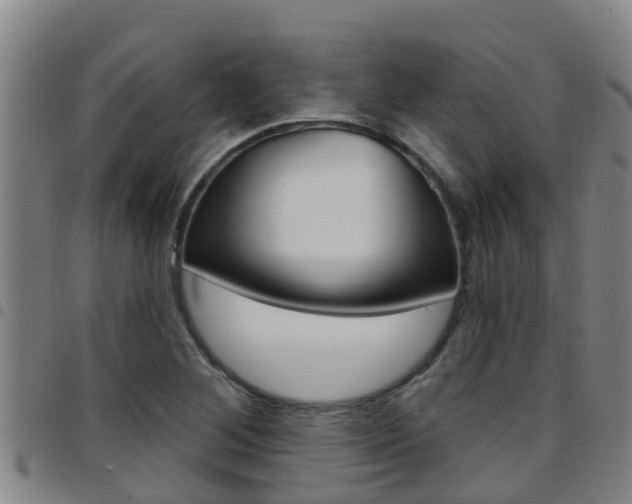 X0000097871268200803140910