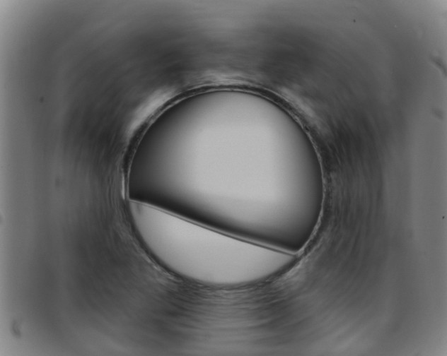 X0000097871269200803140910