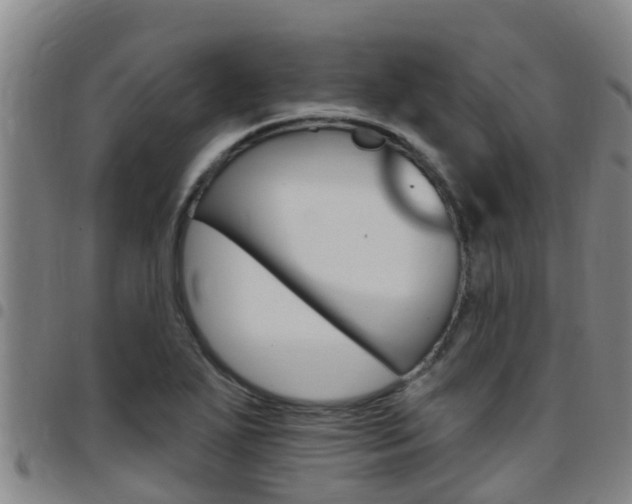 X0000097871271200803140910