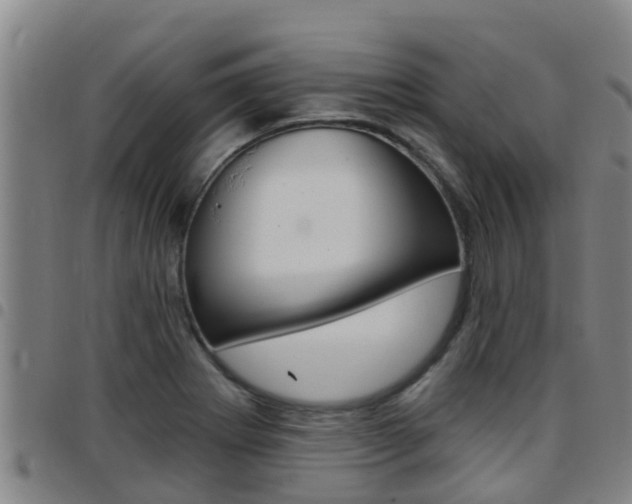 X0000097871273200803140910