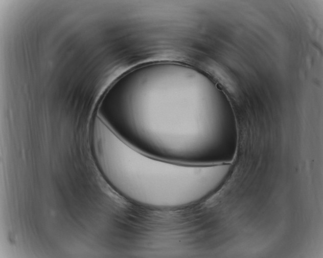 X0000097871276200803140910