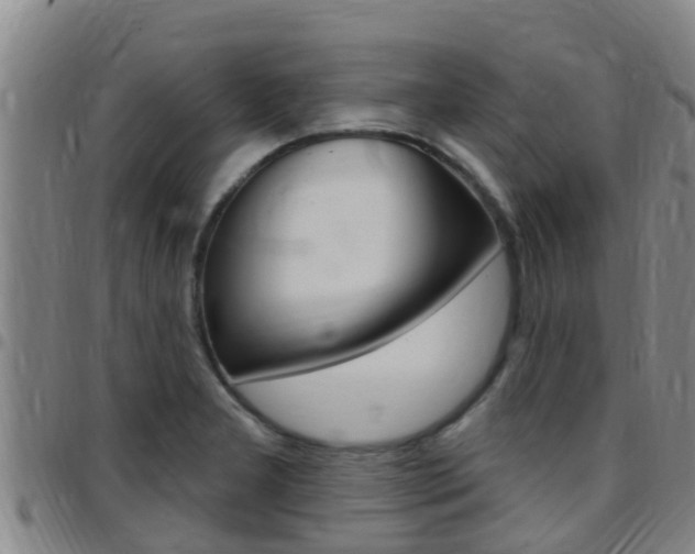 X0000097871277200803140910