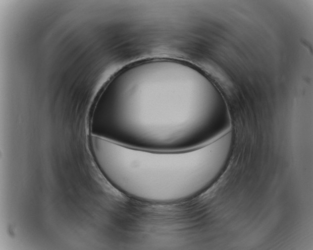 X0000097871280200803140910
