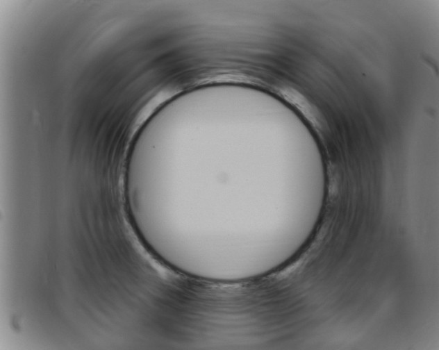 X0000097871282200803140910