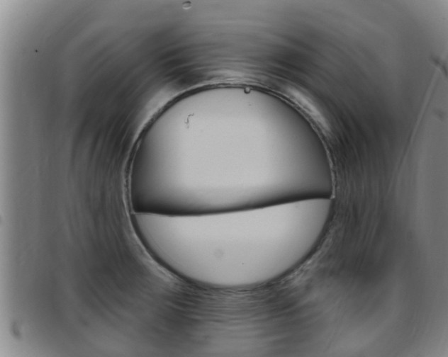 X0000097871283200803140910