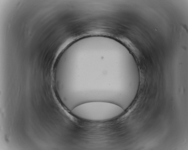 X0000097871286200803140910