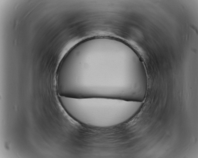X0000097871287200803140910