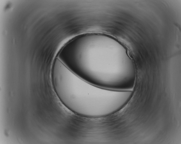X0000097871288200803140910