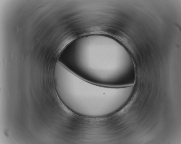 X0000097871289200803140910