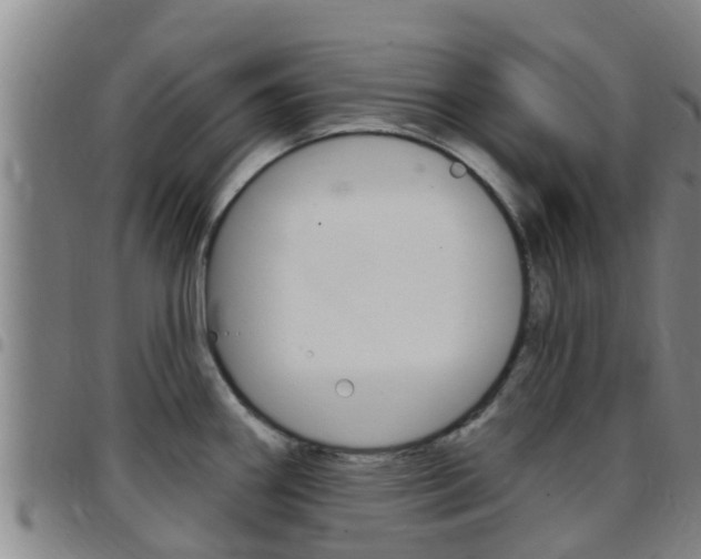 X0000097871290200803140910