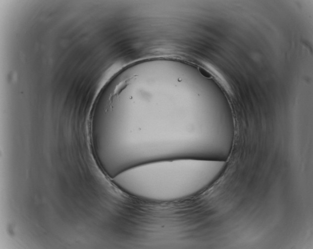 X0000097871291200803140910
