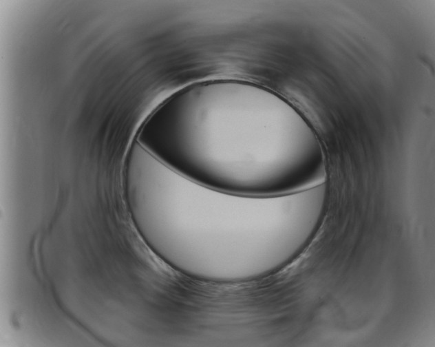 X0000097871292200803140910