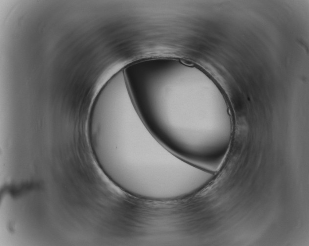 X0000097871293200803140910