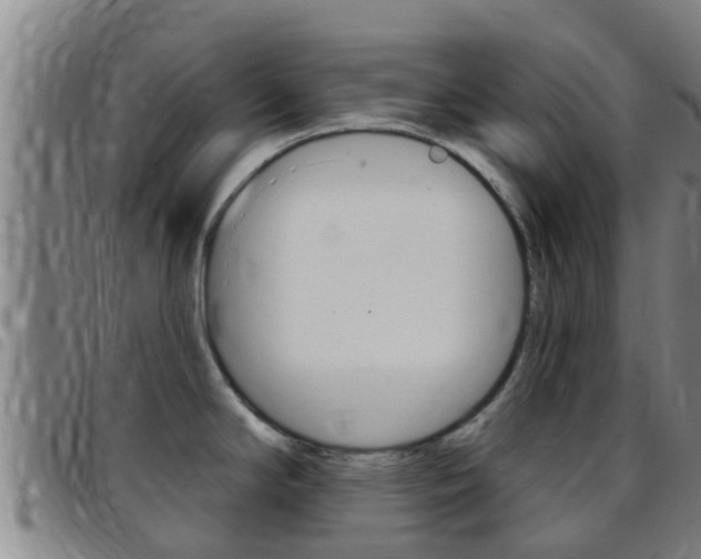 X0000097871294200803140910