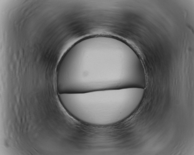 X0000097871295200803140910