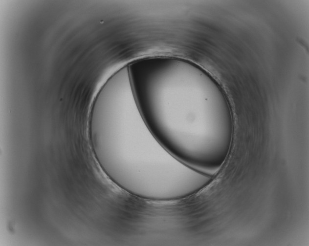 X0000097871296200803140910